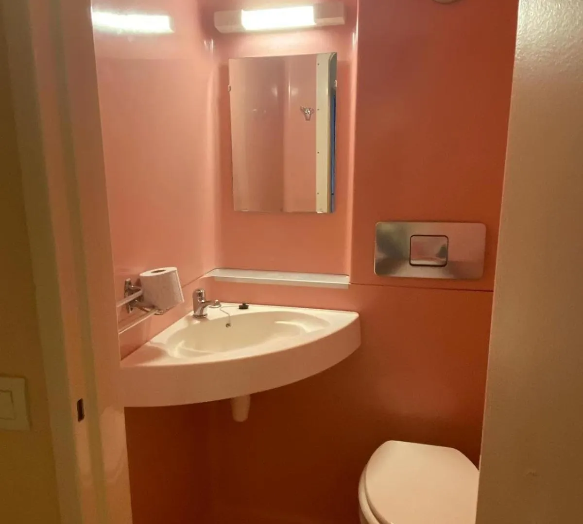 Appartement A La Montagne 10 Chambres 5 Douches And 4 Wc Argelès-Gazost